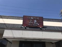 三色