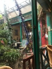 カンテ・グランデ　中津本店