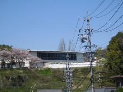 帷子小学校