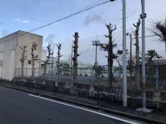 名古屋市立城山中学校
