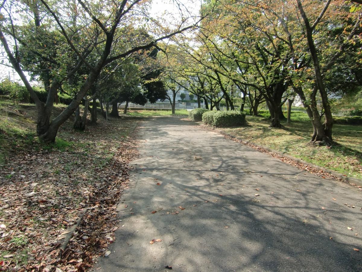 唐竹公園