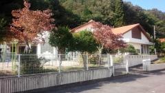 阿井幼稚園