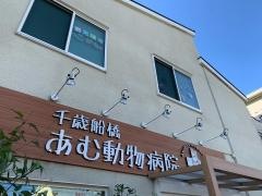 千歳船橋あむ動物病院