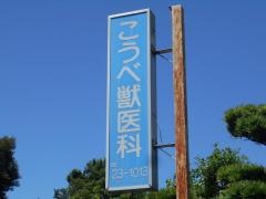 こうべ獣医科
