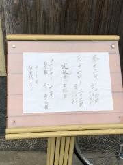 照月
