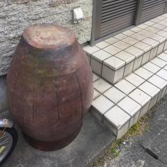 菜里