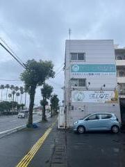 ほぐし専科・アロエ