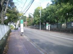 「片平丁小学校前」バス停留所