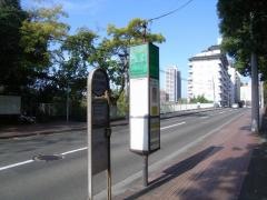 「片平丁小学校前」バス停留所