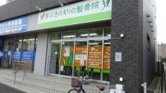 芽ぶきのもりの整骨院