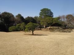 さくら庭園