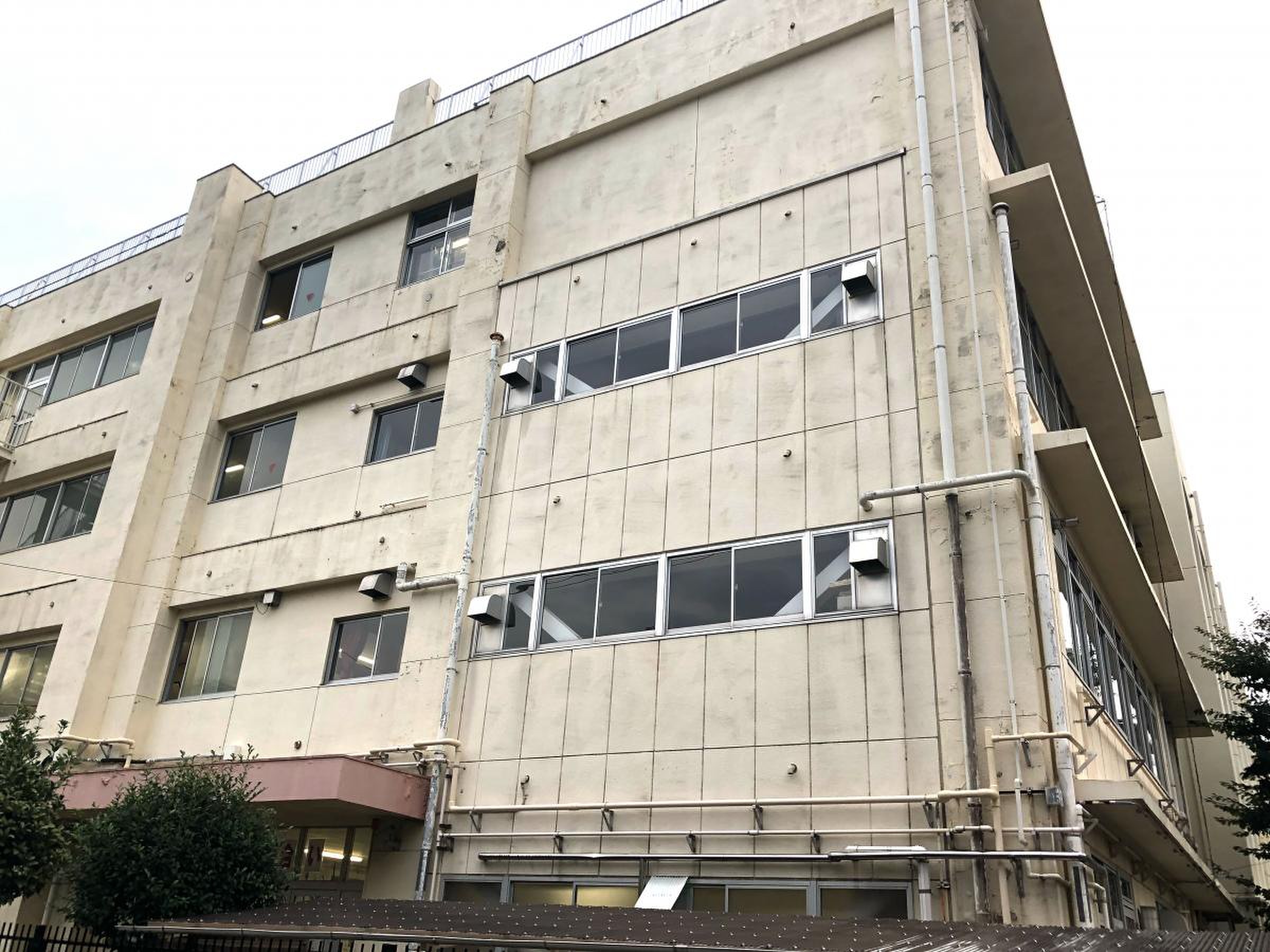活動歴および当時の関連ビジュアル記録