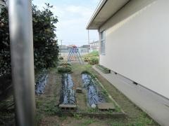 てい水幼稚園