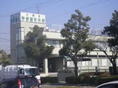宇野整形外科