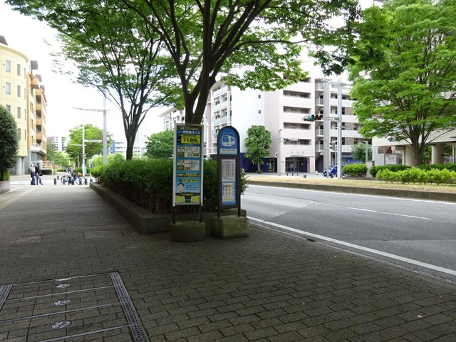 投稿写真1