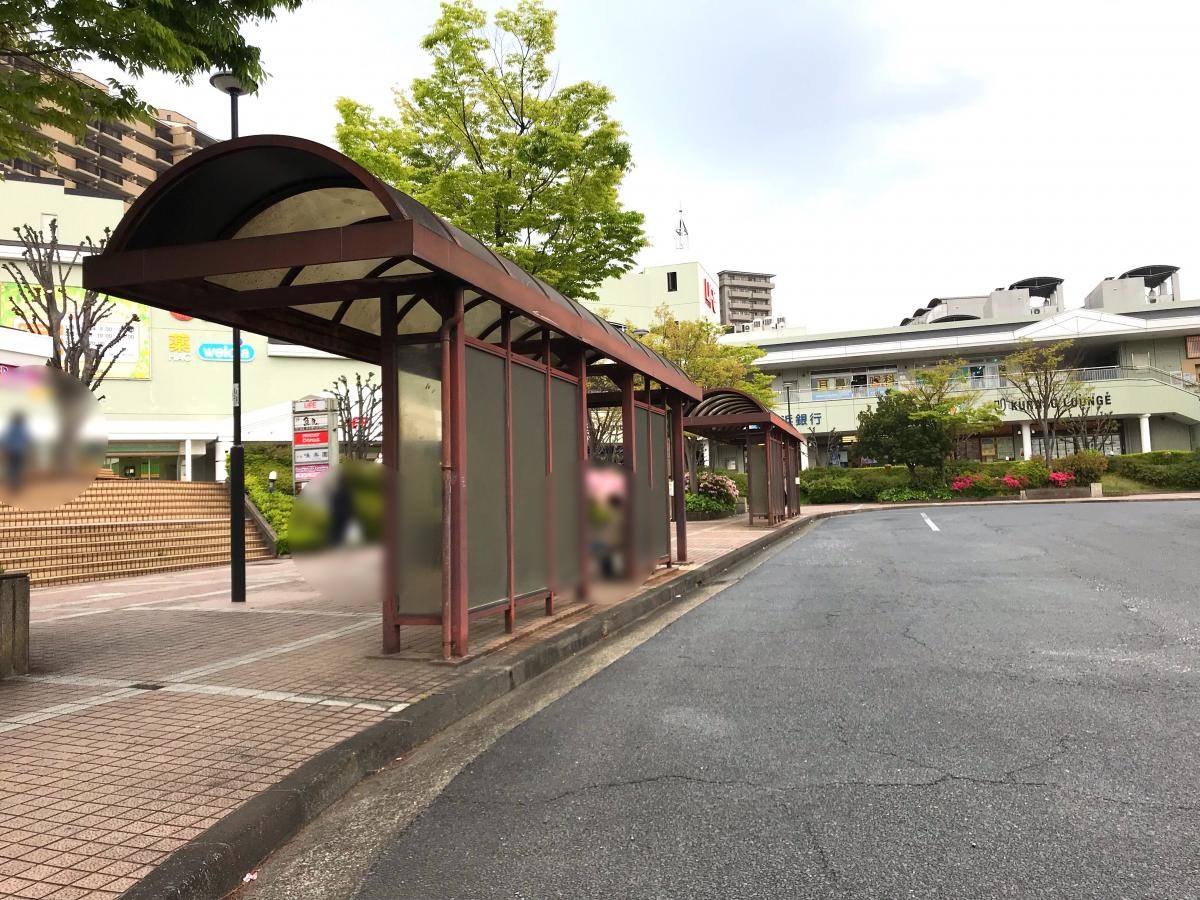 全体