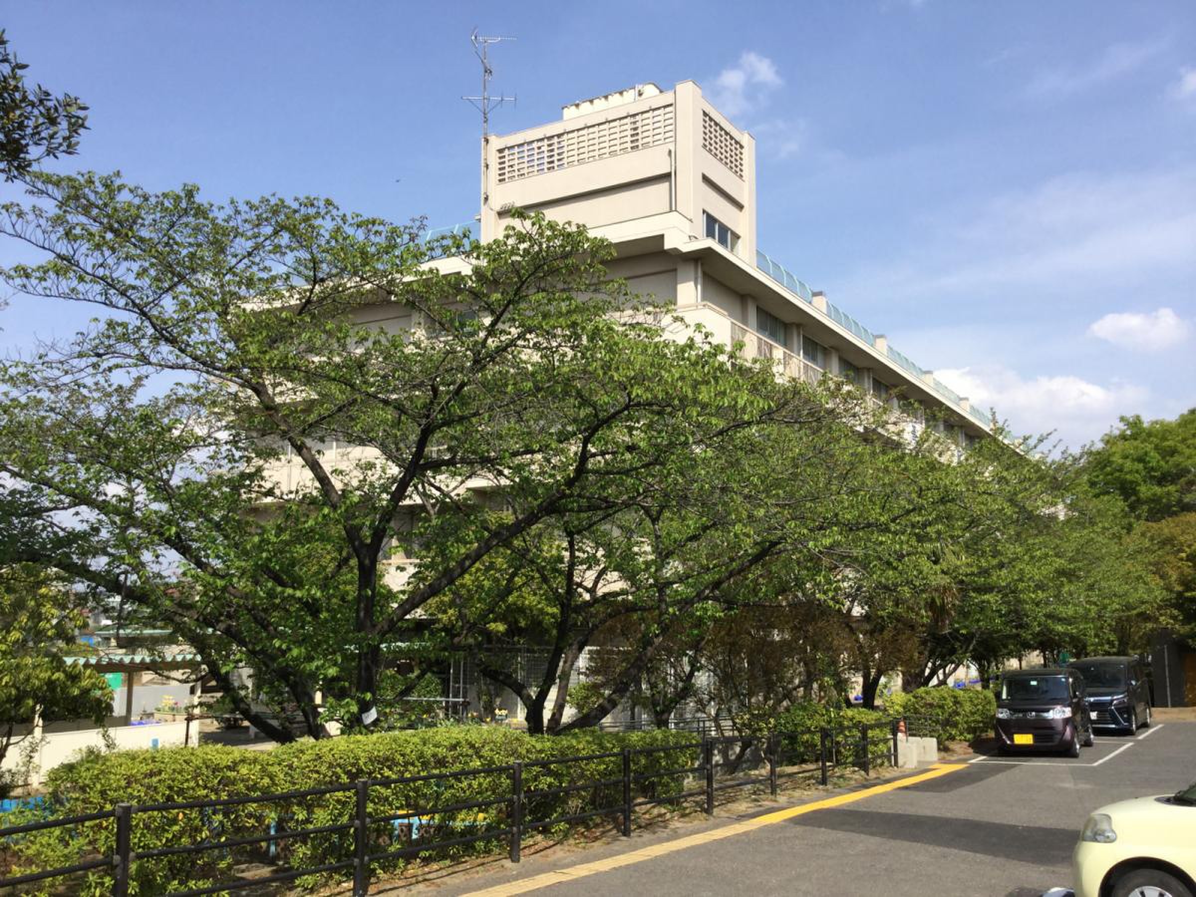 善 前 小学校