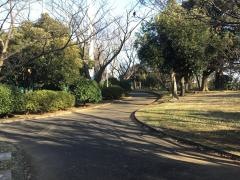 岡村公園