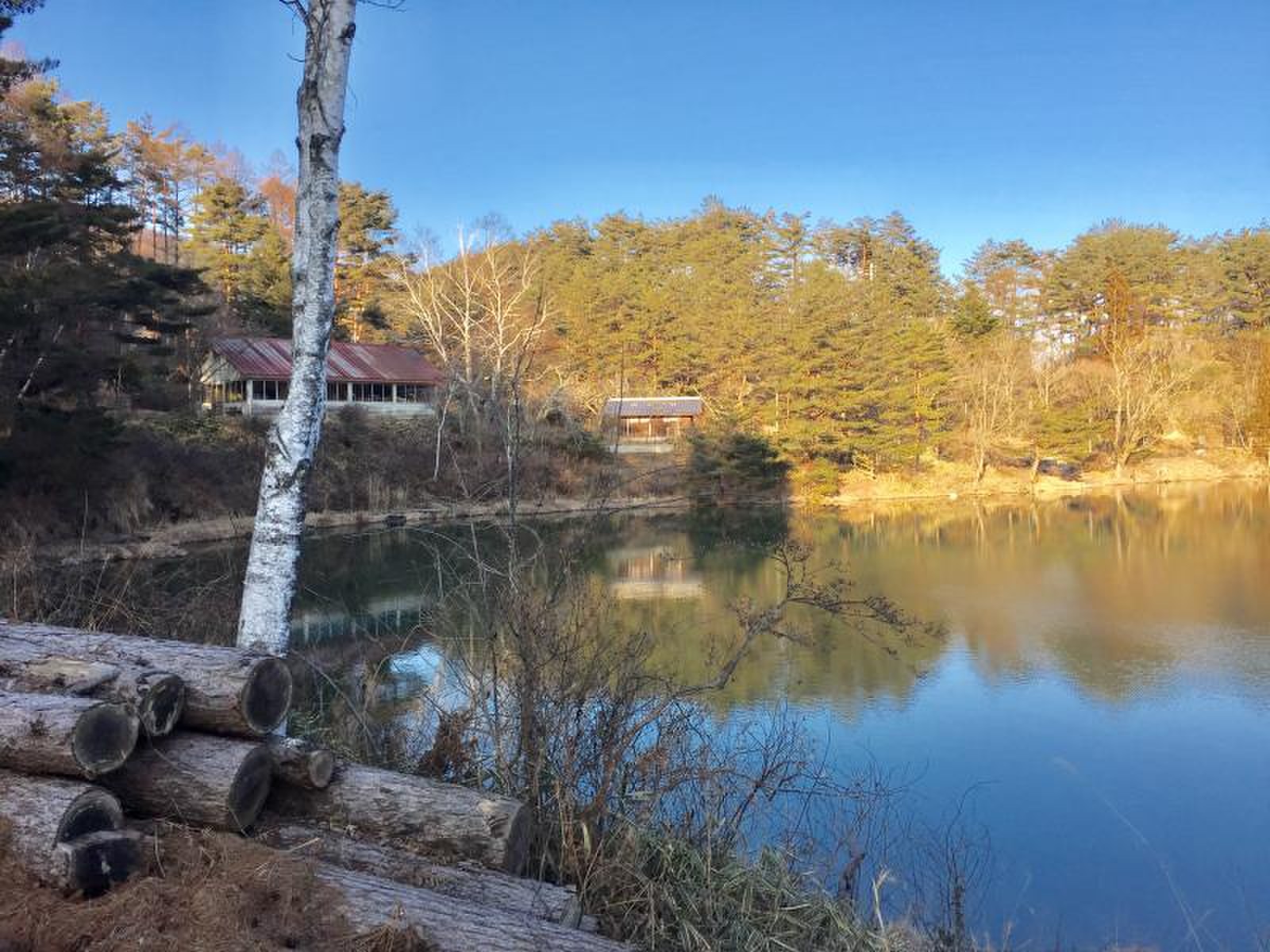 沢 城 湖