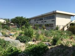 養父保育園
