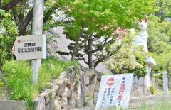 第8号陣取山緑地
