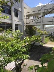 高丘西小学校
