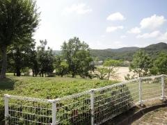 つつじが丘中央公園
