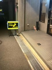 ニンジンクラブ