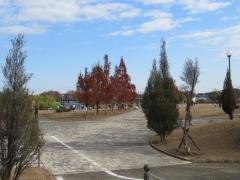 野方三ツ池公園