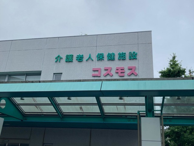 コスモス