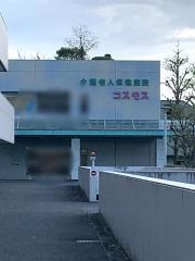 コスモス