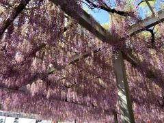 中山熊野神社