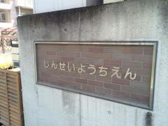 しんせい幼稚園