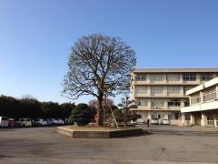 千葉県立船橋豊富高等学校