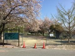 町民ひろば