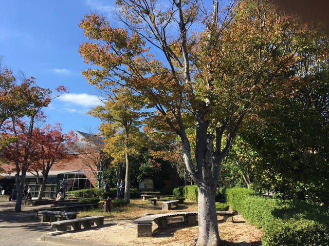 施設写真13