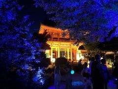 上賀茂神社（賀茂別雷神社）