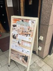 猫カフェもりねこ