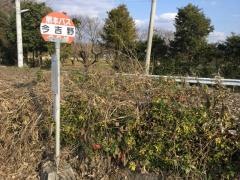 「今吉野」バス停留所