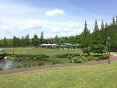 於大公園