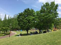 於大公園