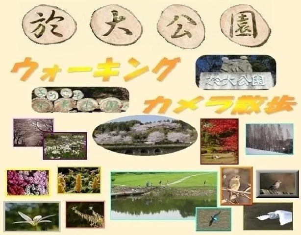 施設写真17