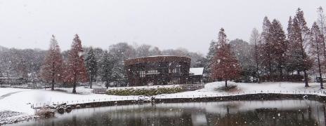 於大公園
