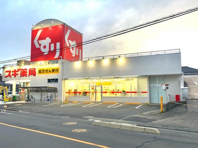 マーケットピア スギ薬局 大宮堀崎店 さいたま市見沼区堀崎町