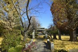 泉倉寺