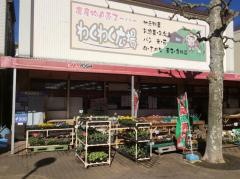 わくわく広場みつわ台店