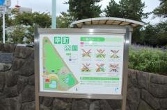 幸町公園