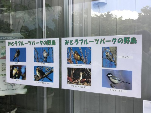 施設写真40