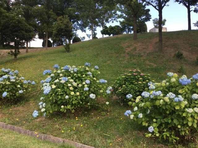 施設写真21
