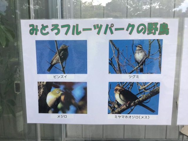 施設写真64